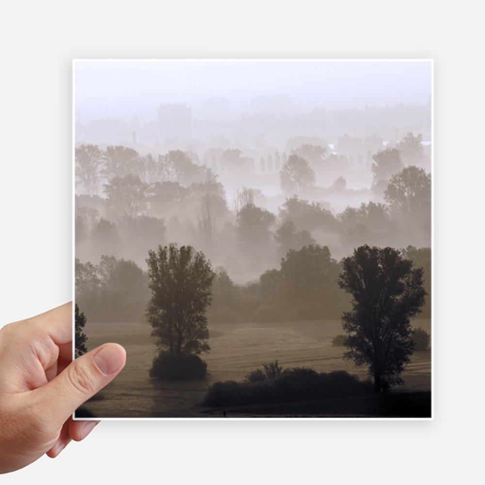 Autocollants carrés forêt matinale 20cm sticker déco pour valise PC et carrosserie moto