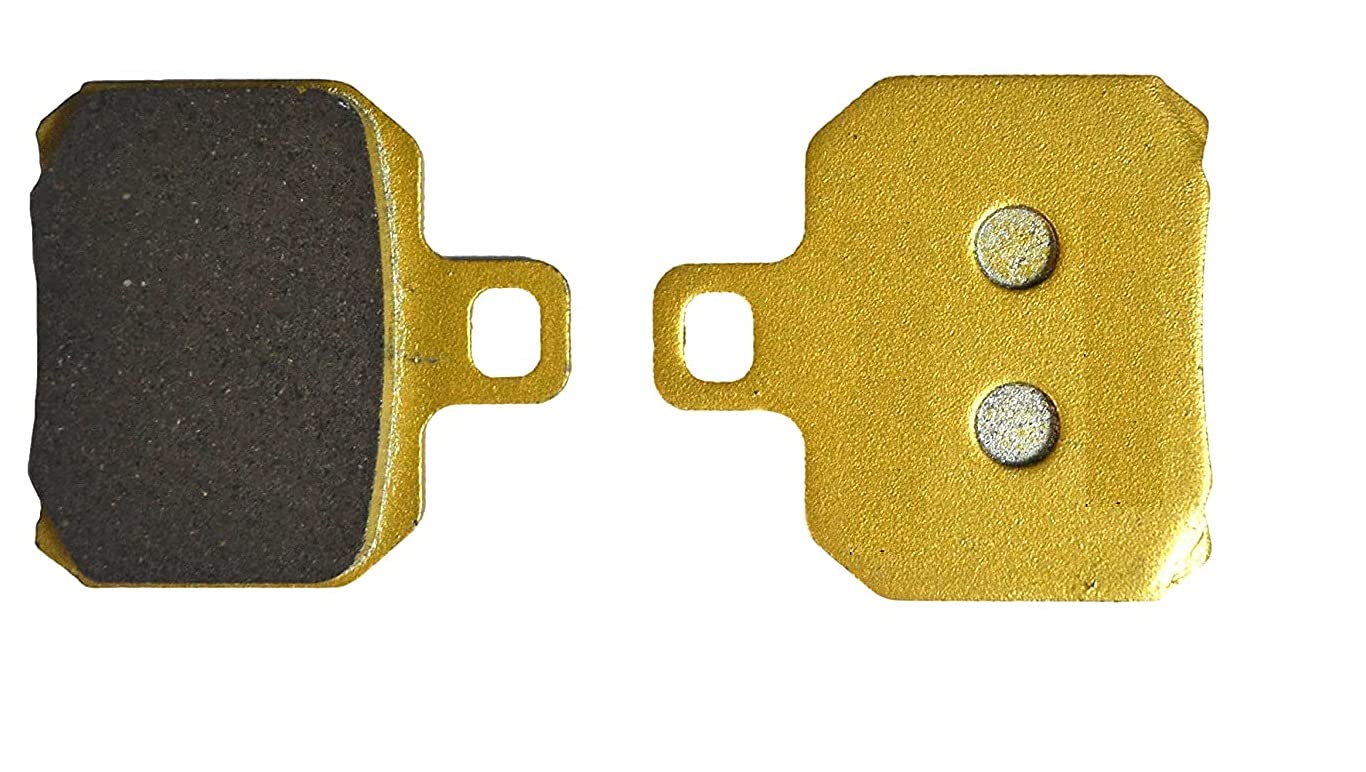 PA Rear Brake Pad for Beneli 250-picture-20