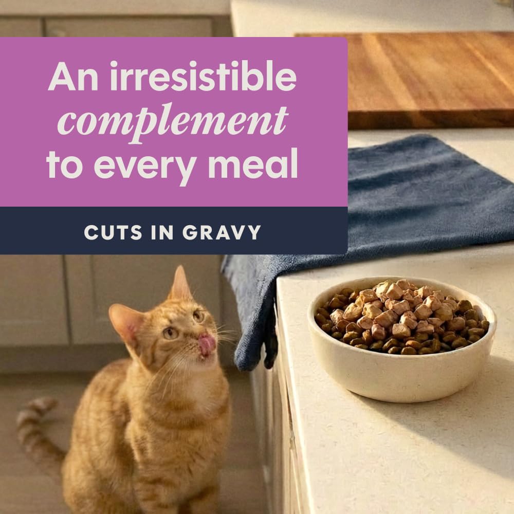 Nature's Variety Instinct Healthy Cravings - Decoración Natural para Gatos con Receta de Conejo Real sin Granos, Bolsas de 3 onzas (Caja de 24)