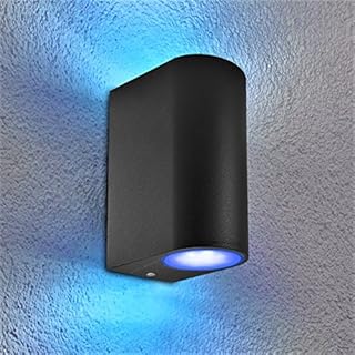 Long Life Lamp Company Blue LED Outdoor Up Down Wall Light IP44 ZLC024 in Black Finish