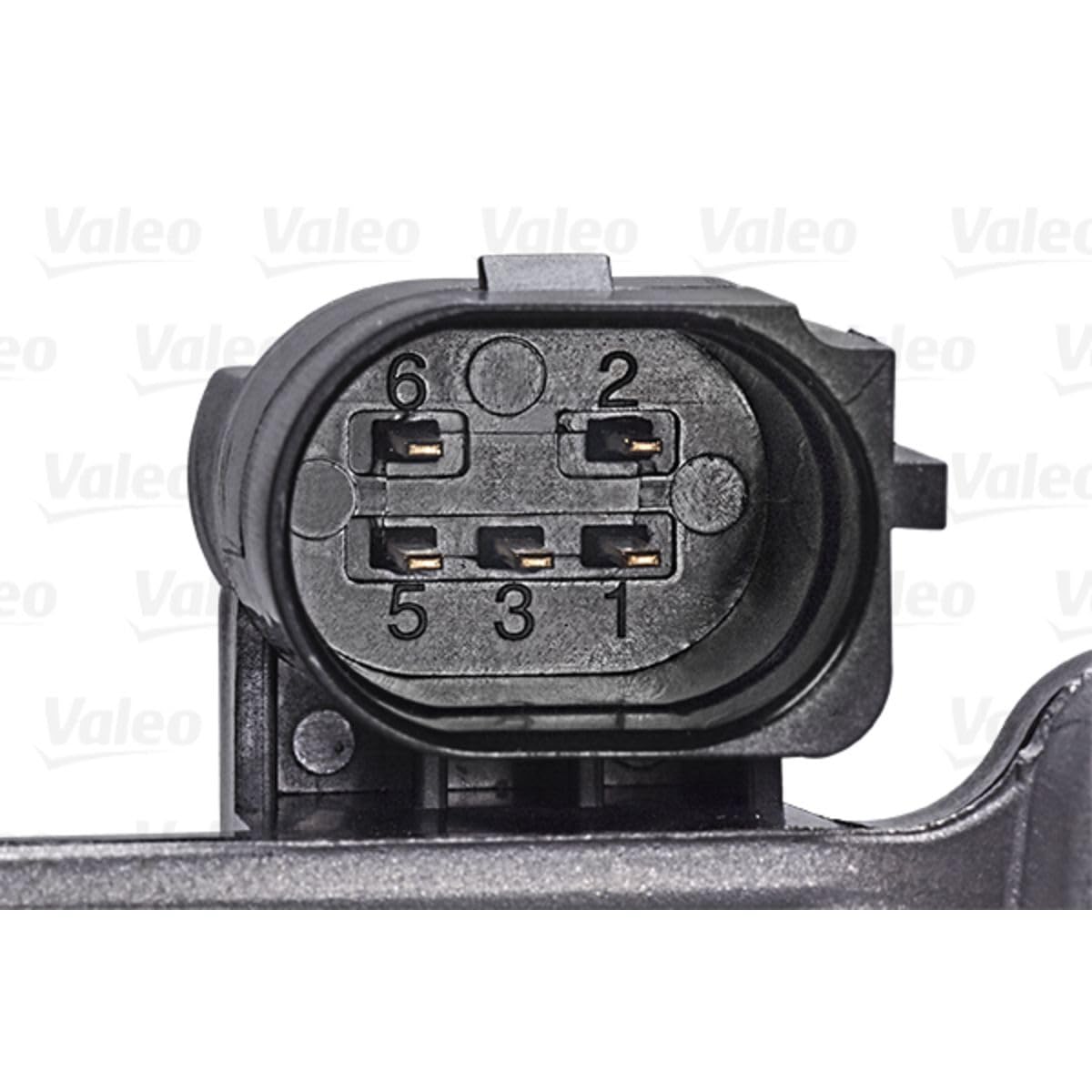 Valeo Válvula EGR 700454