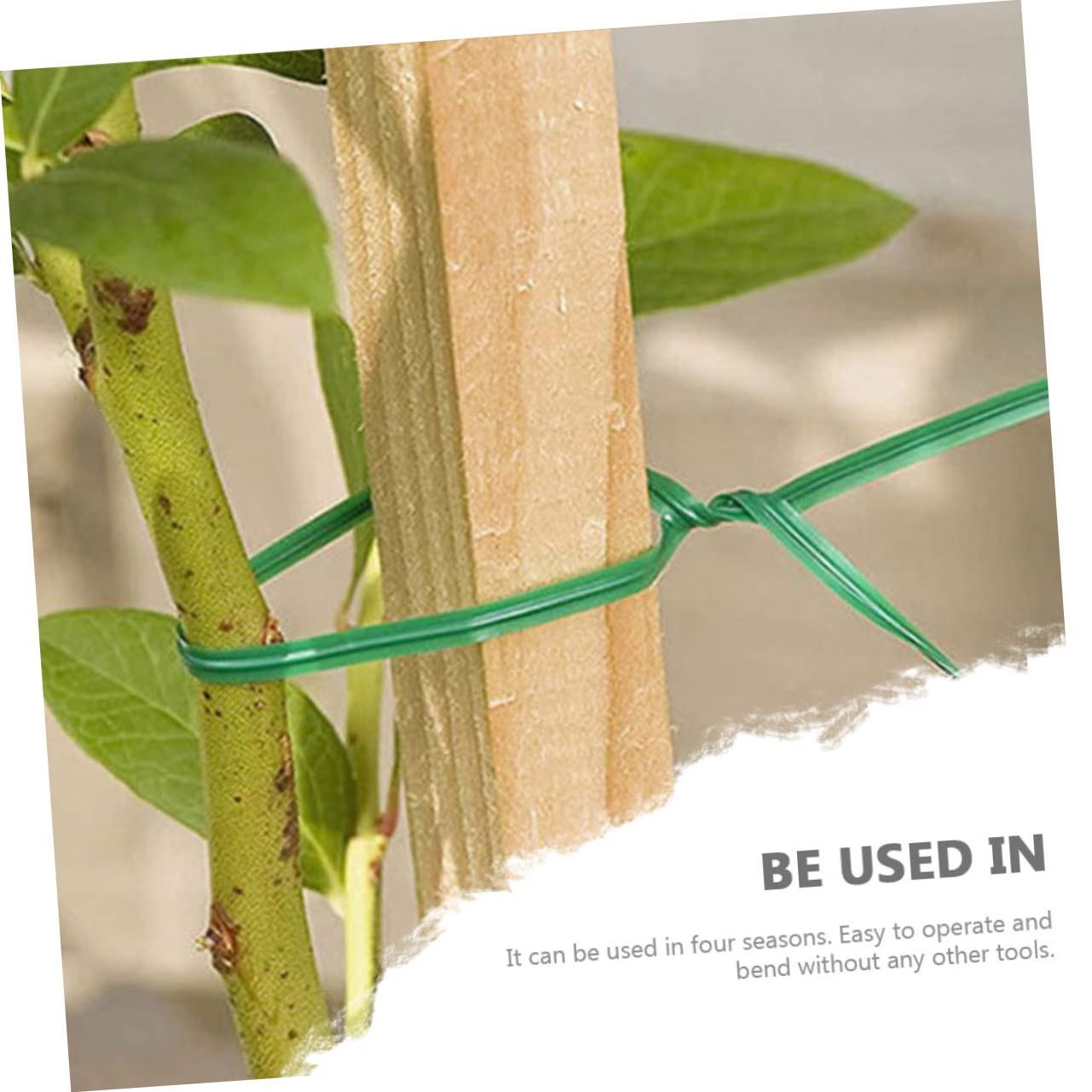 Toddmomy 2000pezzi Giardinaggio per per Rampicanti e Premium e Resistente Facili Usare