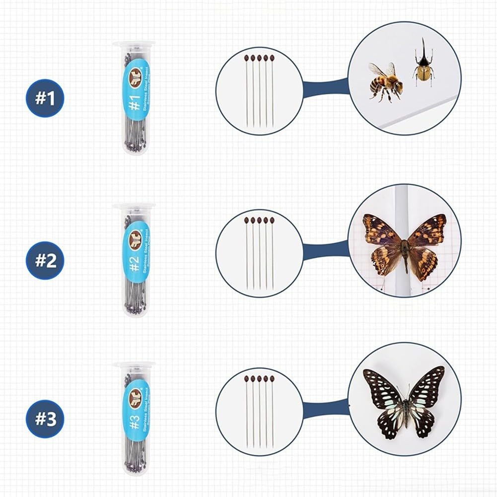Insekten Präparier Set 6-teilig mit EVA Nadelbrett, Koordinatenpapier & Glasine – Edelstahl Nadeln für Schmetterlinge & Käfer – Komplettkit für Anfänger