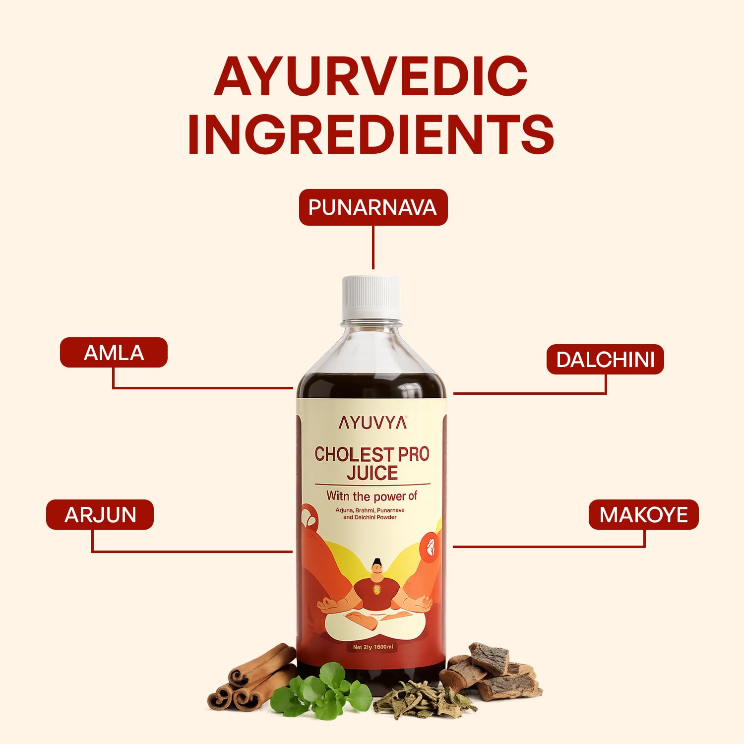 Ayuvya Cholest Pro | Cholesterol Care Juice | Contains Arjuna, Amla, Punarnava & Brahmi | Supports Heart & Artery Health Naturally | Helps to maintain Healthy Blood Pressure & Circulation | 1000 ml 3