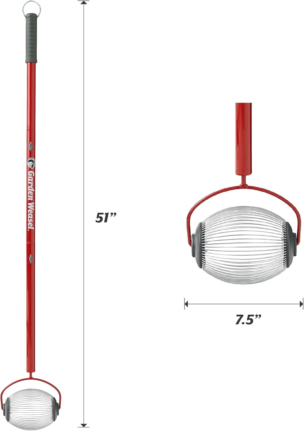 https://m.media-amazon.com/images/I/619Lb1ALTDL._AC_SL1500_.jpg