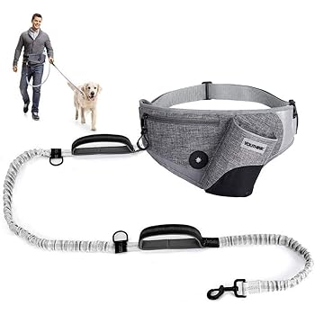 dog waist belt
