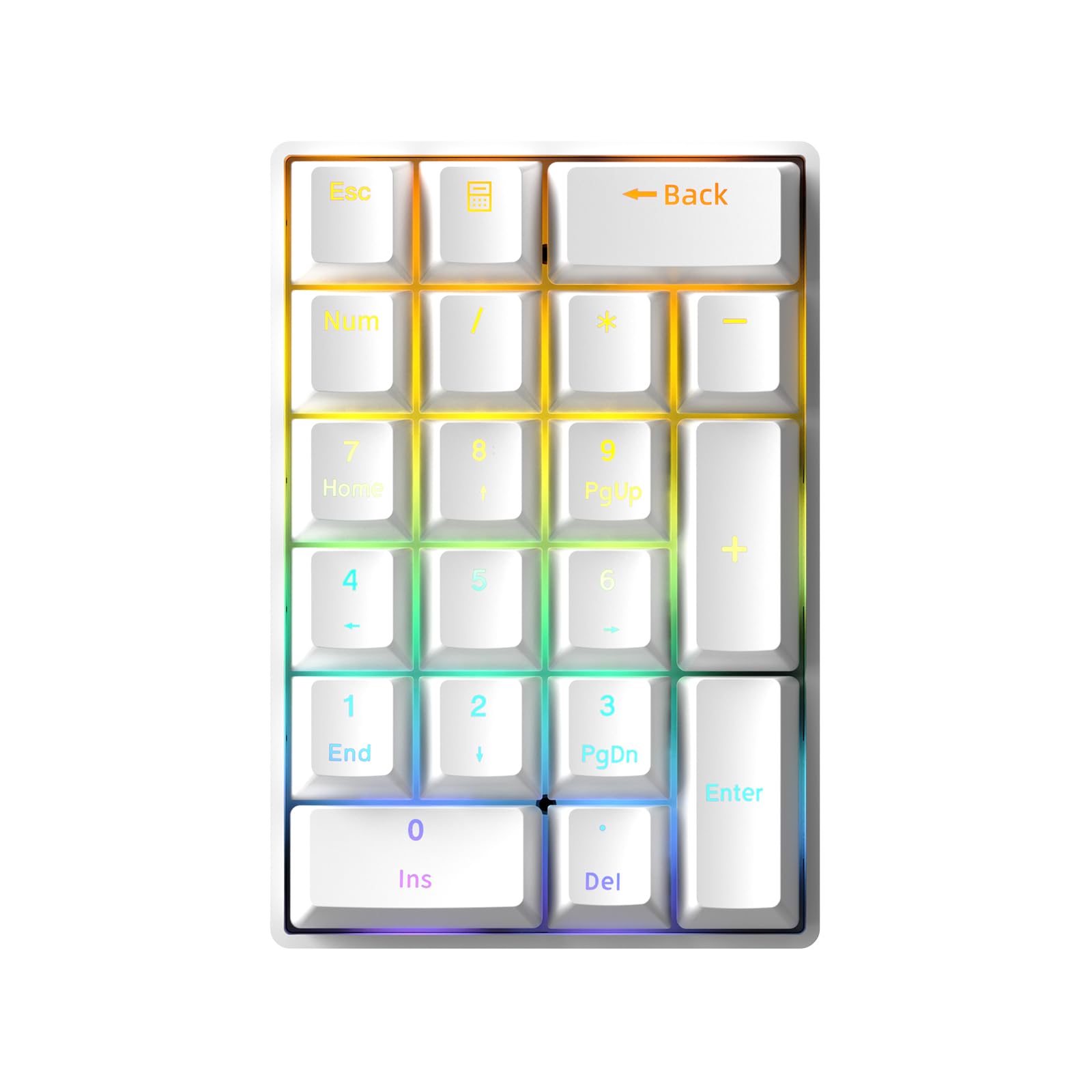 Amazon.com: TISHLED Wired Mechanical Numpad Rainbow LED Backlit 20