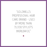 Goldwell Dualsenses Blondes & Highlights Anti-Yellow Shampoo, 1000 ml