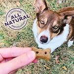 Previous Mom Hubbard by Wellness Traditional Pure Pet Treats, Crunchy Oven-Baked Biscuits, Perfect for Coaching, Mini Dimension Canine Treats, 20 ounce bag