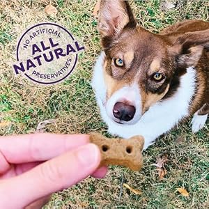 Previous Mom Hubbard by Wellness Traditional Pure Pet Treats, Crunchy Oven-Baked Biscuits, Perfect for Coaching, Mini Dimension Canine Treats, 20 ounce bag Previous Mom Hubbard by Wellness Traditional Pure Pet Treats, Crunchy Oven-Baked Biscuits, Perfect for Coaching, Mini Dimension Canine Treats, 20 ounce bag