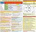 2-Piece Instrument Pilot Training Set, All in One: Comprehensive FAA Instrument Pilot Visualized Maneuvers and IR Oral Exam Study Guide Posters (27x19 in., 2-Sided)