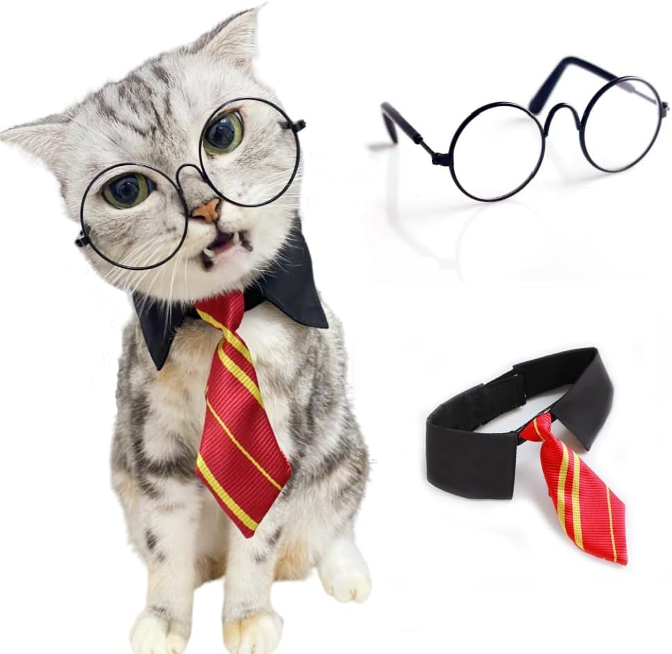 Cat Witch Costume Halloween Costume for Pet Wizard