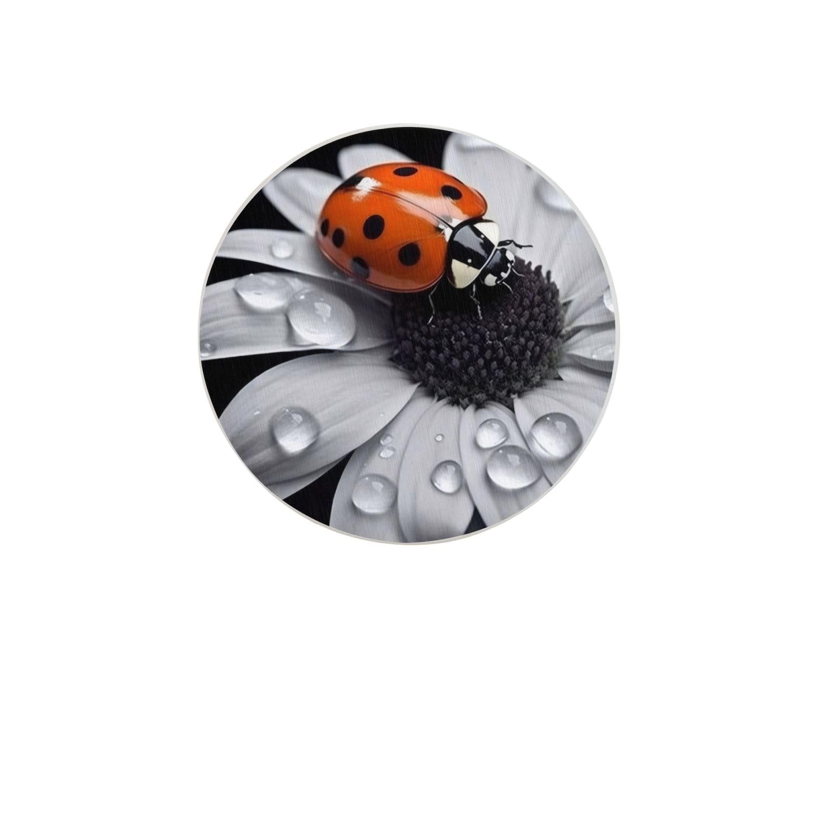 Ladybug Daisy Absorbent Drink Coasters Diatomaceous Round Coaster 4 Inch Reusable Cup Coasters Set 4pc