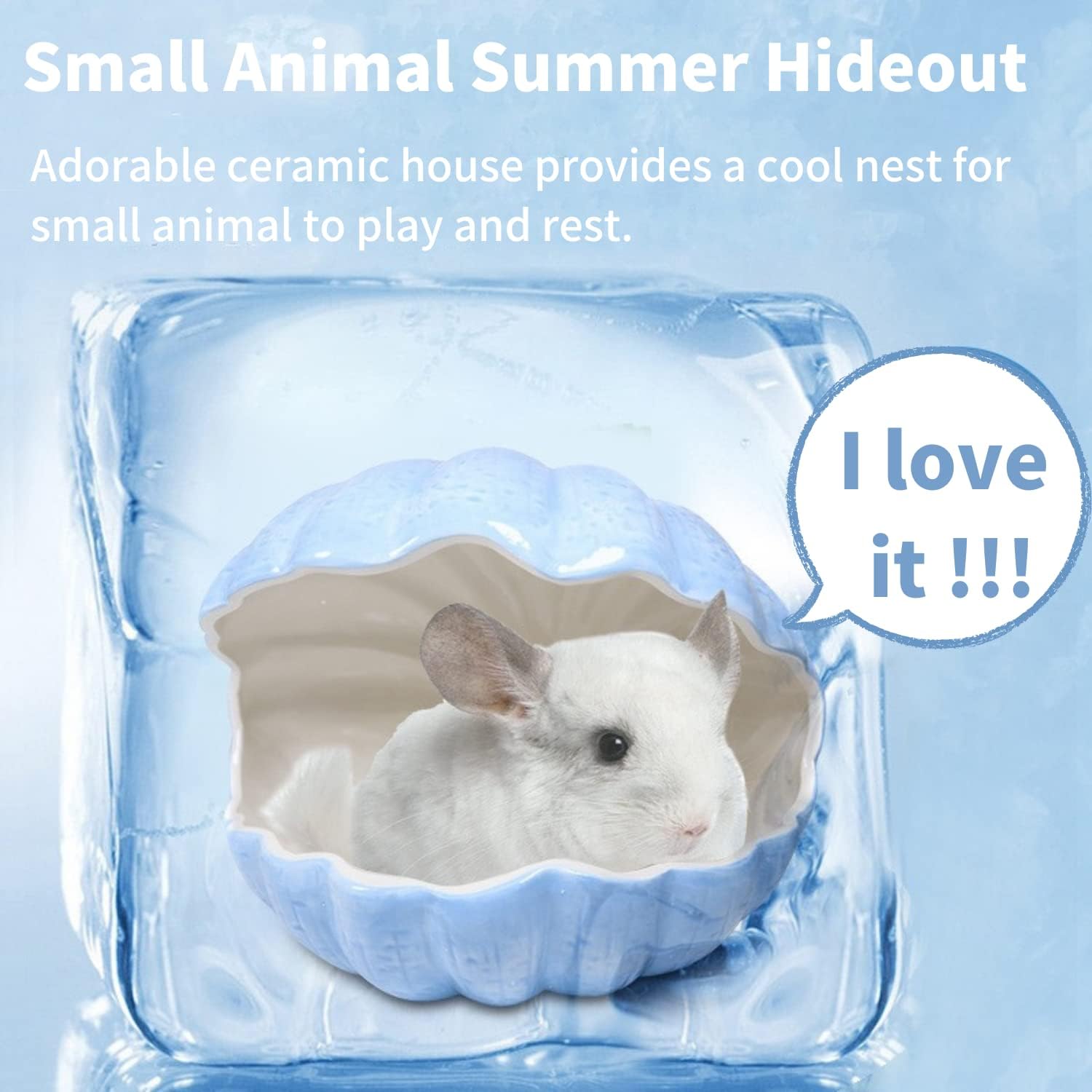 Small Animal Hideout Extra Large Ceramic Shell Shape Guinea Pig House Chinchilla Igloo Habitat Hut Cave Summer Bed Cage Accessories for Hedgehog Rabbit Hamster Gerbil Rat (XL (9.5''x7''x7.9''), Blue)