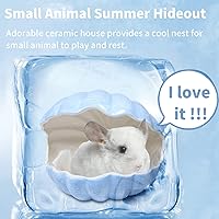 Vista 3 de Escondite de animales pequeños con forma de concha de cerámica extra grande, casa de conejillo de indias, chinchilla, iglú, hábitat, cabaña, jaula