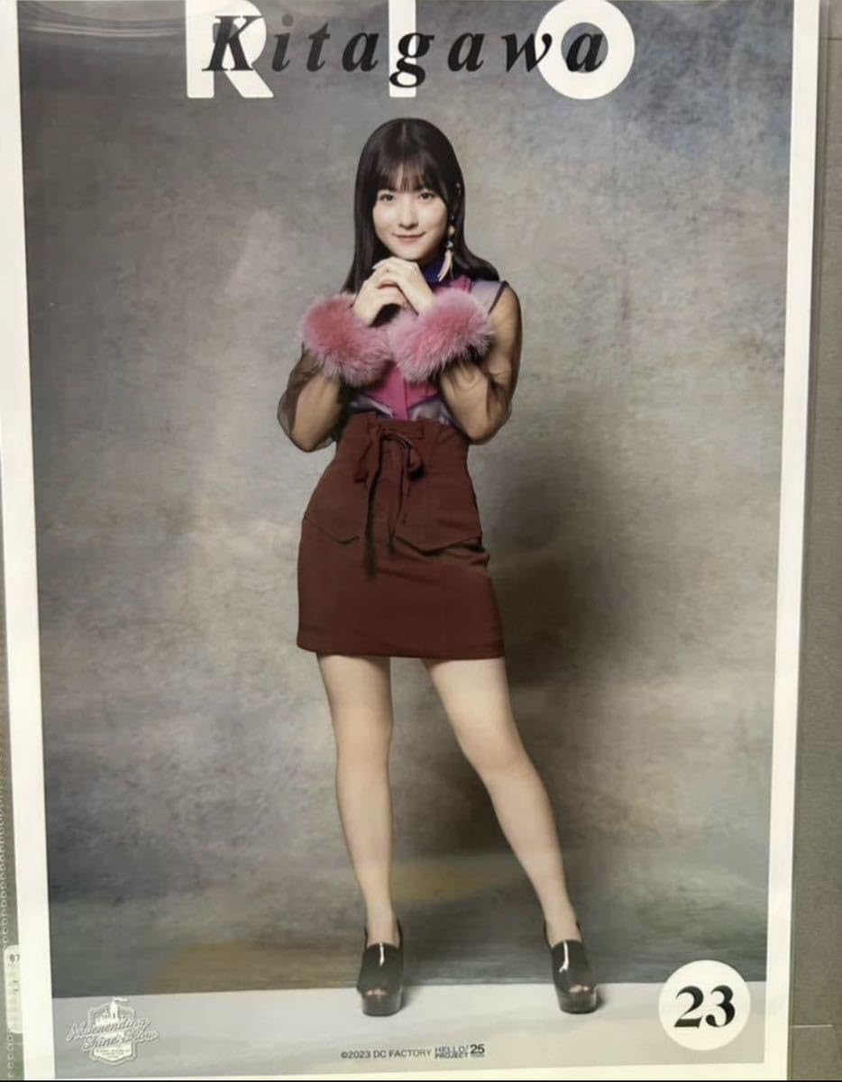 9173 モーニング娘。 北川莉央 ピンナップポスター Amazon.co.jp: 北川莉央 23 コレクションピンナップポスター ピンポス
