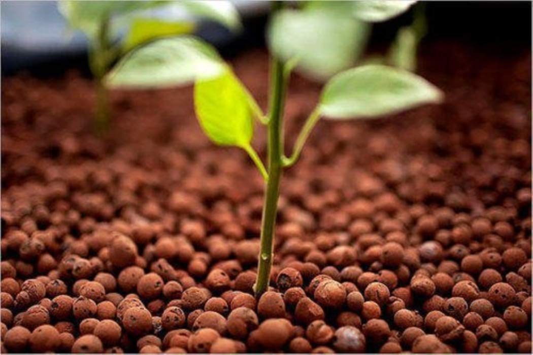 OhhSome Leca - Light Expanded Clay Aggregate (Fly Ash) 1 Kg : Approx. 3-4 Litre for Aquarium/Hydroponics/Indoor Plants (B08LCFGRCZ) Amazon Price History, Amazon Price Tracker