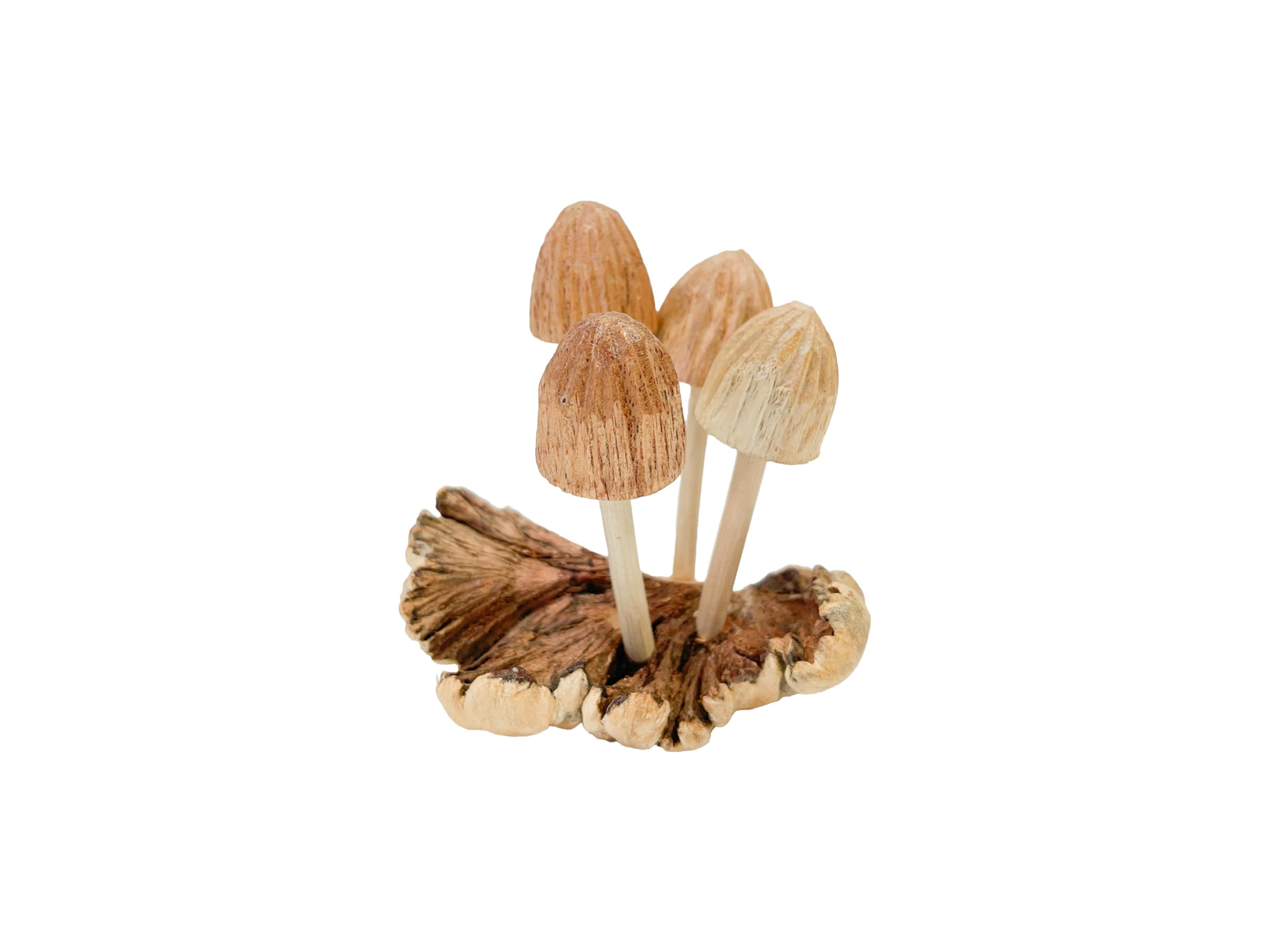 My Family House Wooden Carved Mushroom Ornament on Parasite Wood Group of 4 mushrooms Wood Carving Fair Trade Toadstools Fungi Parasite Wood