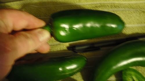 Miniatura 2 de Semillas gigantes de pimiento jalapeño (más de 45 semillas) enormes vainas, grandes rellenos, suaves