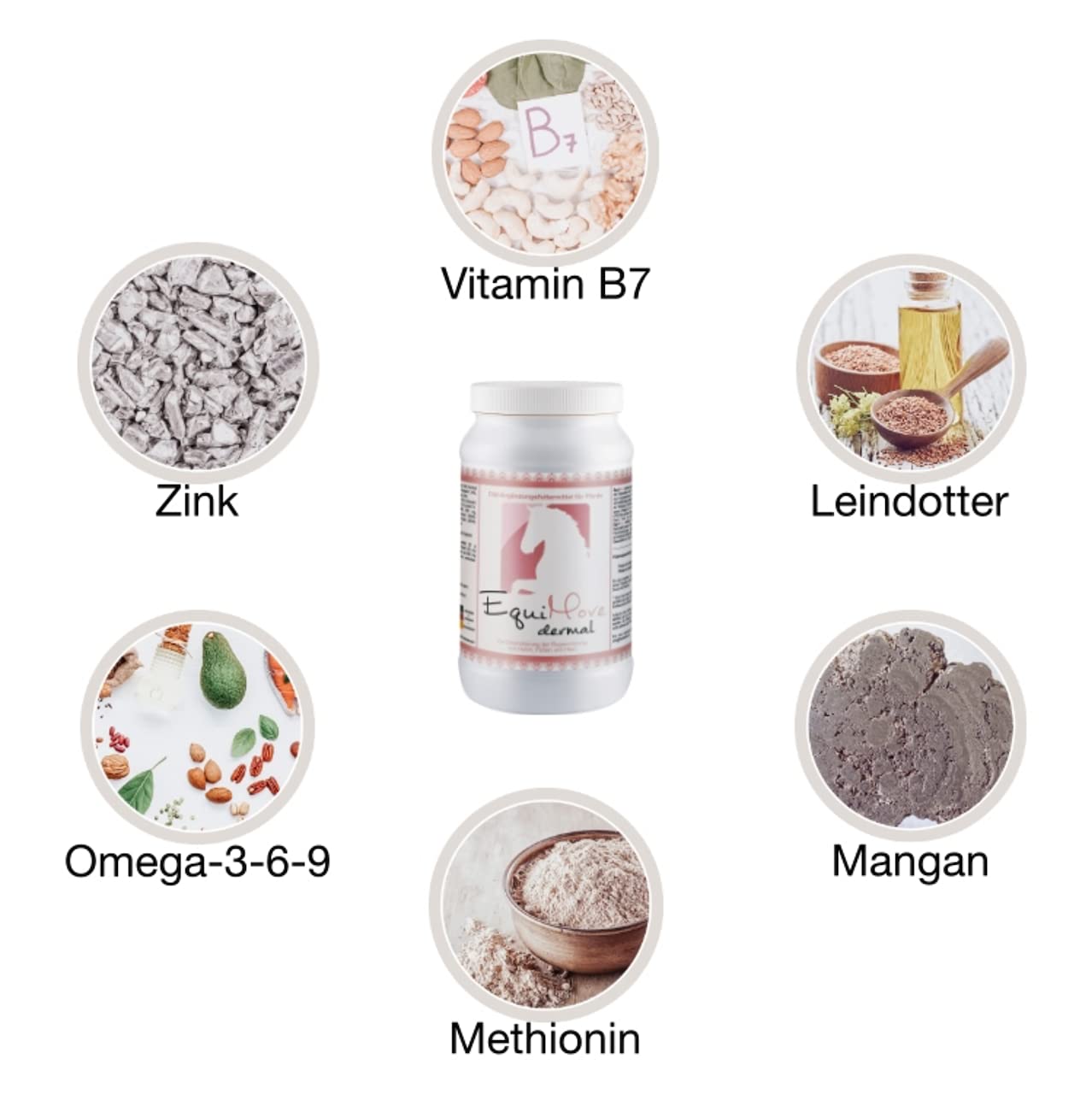 Set Bewegung, Haut und Fell aus je 1 Dose Motion und 1 Dose Dermal