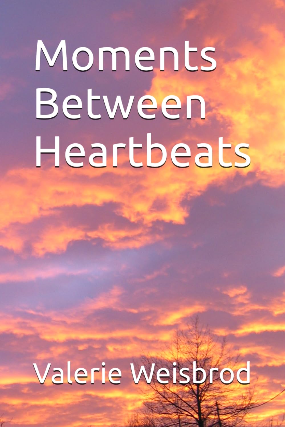 Moments Between Heartbeats