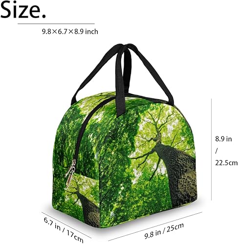 Miniatura 2 de Green Tree Lunch Tote Bag for Women Adult Men Forest Insulated Lunch Box Small Leakproof Cute Lunchbox Cooler Bag Reusable Lunch Bag for Work Travel