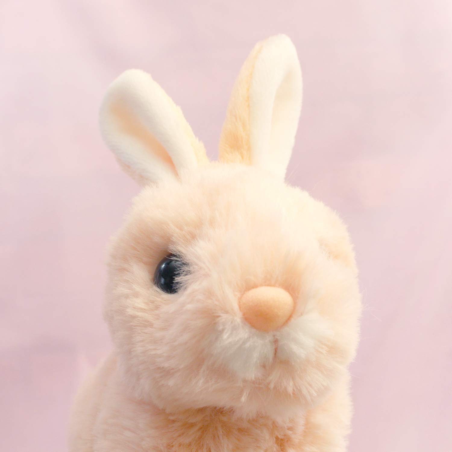 Amazon.co.jp: テイクオフ うさぎのマロン レッキス ピンク : おもちゃ