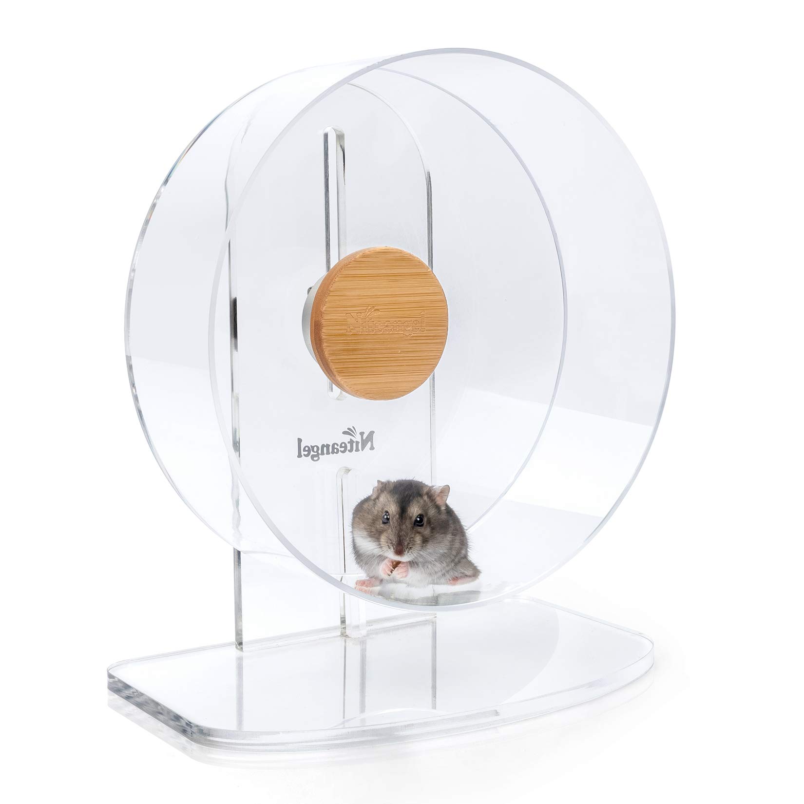 Silent Hamster Exercise Wheel DualBearing Quiet Spinning Acrylic