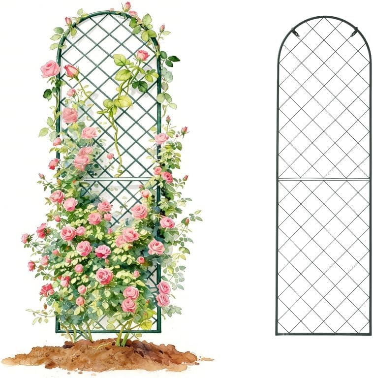 Vego Metal Arched Wall Trellis