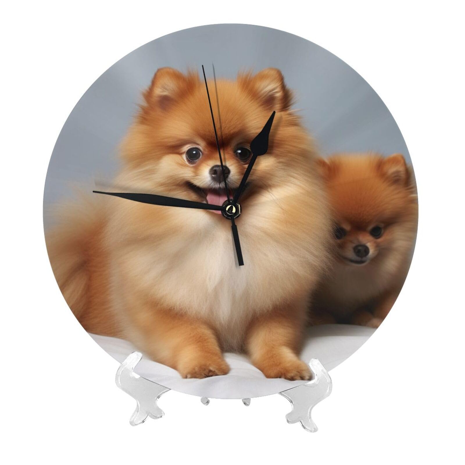 DWVTSLH Cute Pomeranian Wall Clock 10 Inch Silent Non-Ticking Modern Clocks Battery Operated - Decorative Wall Clocks for Bedroom Living Room Kitchen Office Wall Decor Gift Idea