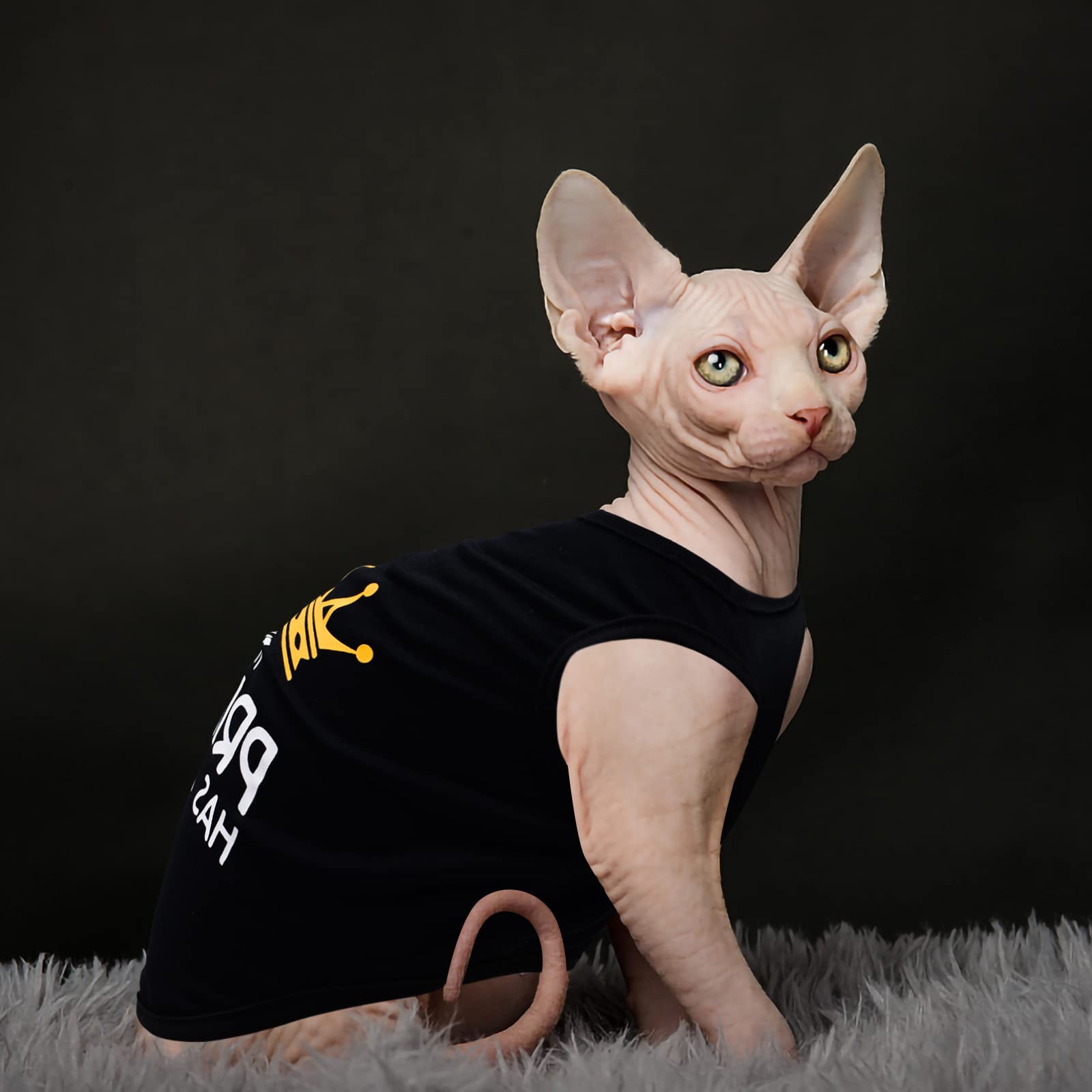 8 camisas para mascotas para perros pequeños, gatos, ropa impresa suave y transpirable con bonito patrón, sudadera para perro para chihuahuas, papillones, pomerania (para niño fresco, pequeño)
