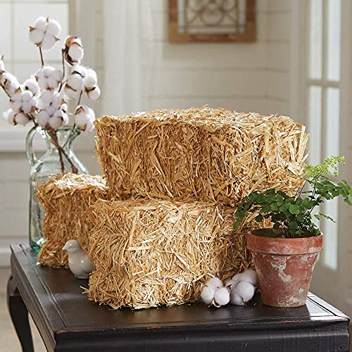 Floracraft Straw Bales, 5-Inch-By-6-Inch-13- Inch Bale #TOP5