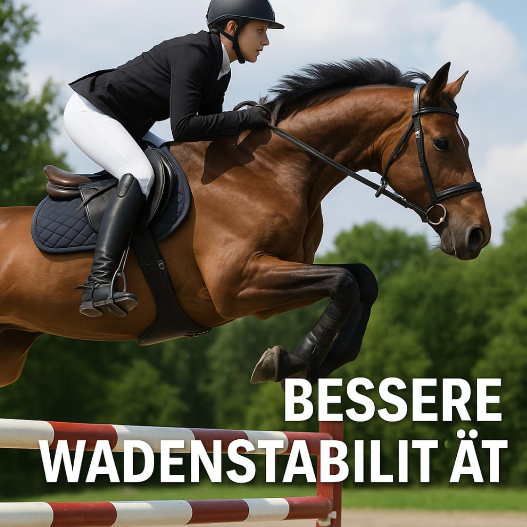 START Leder Chaps – weiche Vollnarbenleder‑Reitchaps mit elastischem Einsatz, Klettverschluss & Druckknopf, ergonomische Passform - Elite
