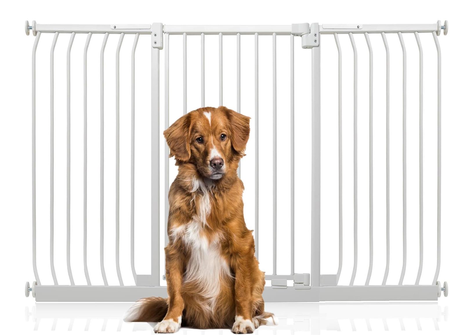 Bettacare Extra Tall Elite Dog Gate161Cm170CmMatt WhiteExtra Tall 96.8Cm In HeightPressure Fit Pet Gate from B&Q