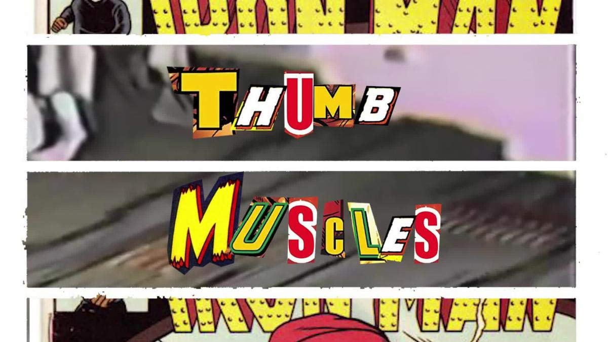 Thumb Muscles [Explicit]