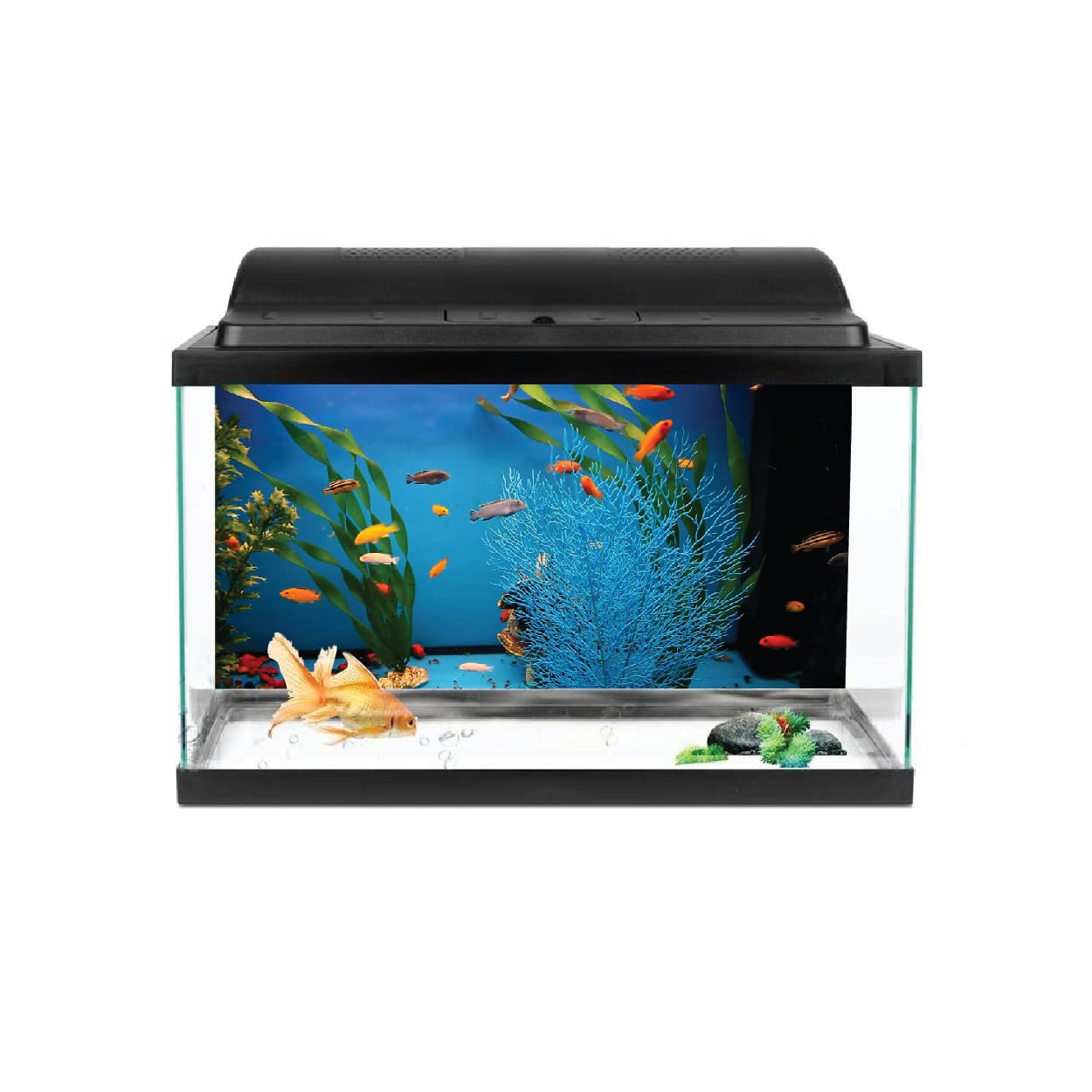 Aquarium Fish Tank Background Stickers Waterproof Vinyl Printed Multicolored Sticker (61 x 30 CMS)-image-18