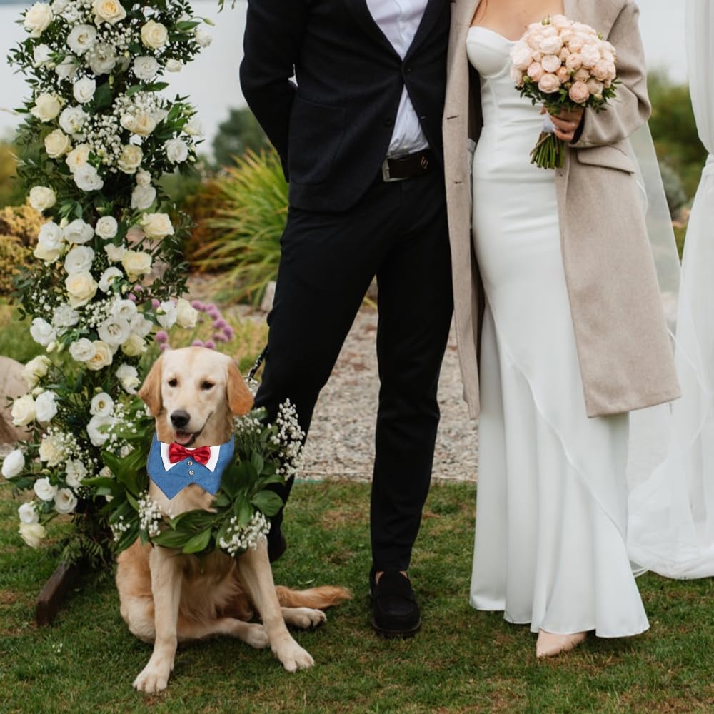Bandana da Smoking per Cani, Collare Formale con Papillon Rosso per Cane di Piccola Media e Grande per Festa di Natale, Cosplay Matrimonio Compleanno Fidanzamento