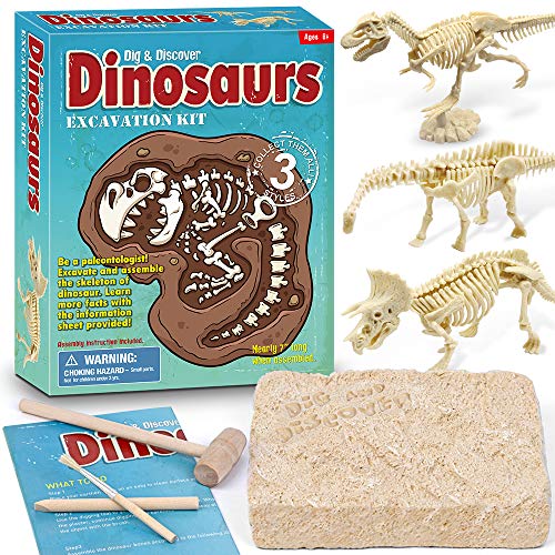 XX Dinosaur Fossil Dig Excavation Kit for Kids 3 Assorted Dino Assemble Model