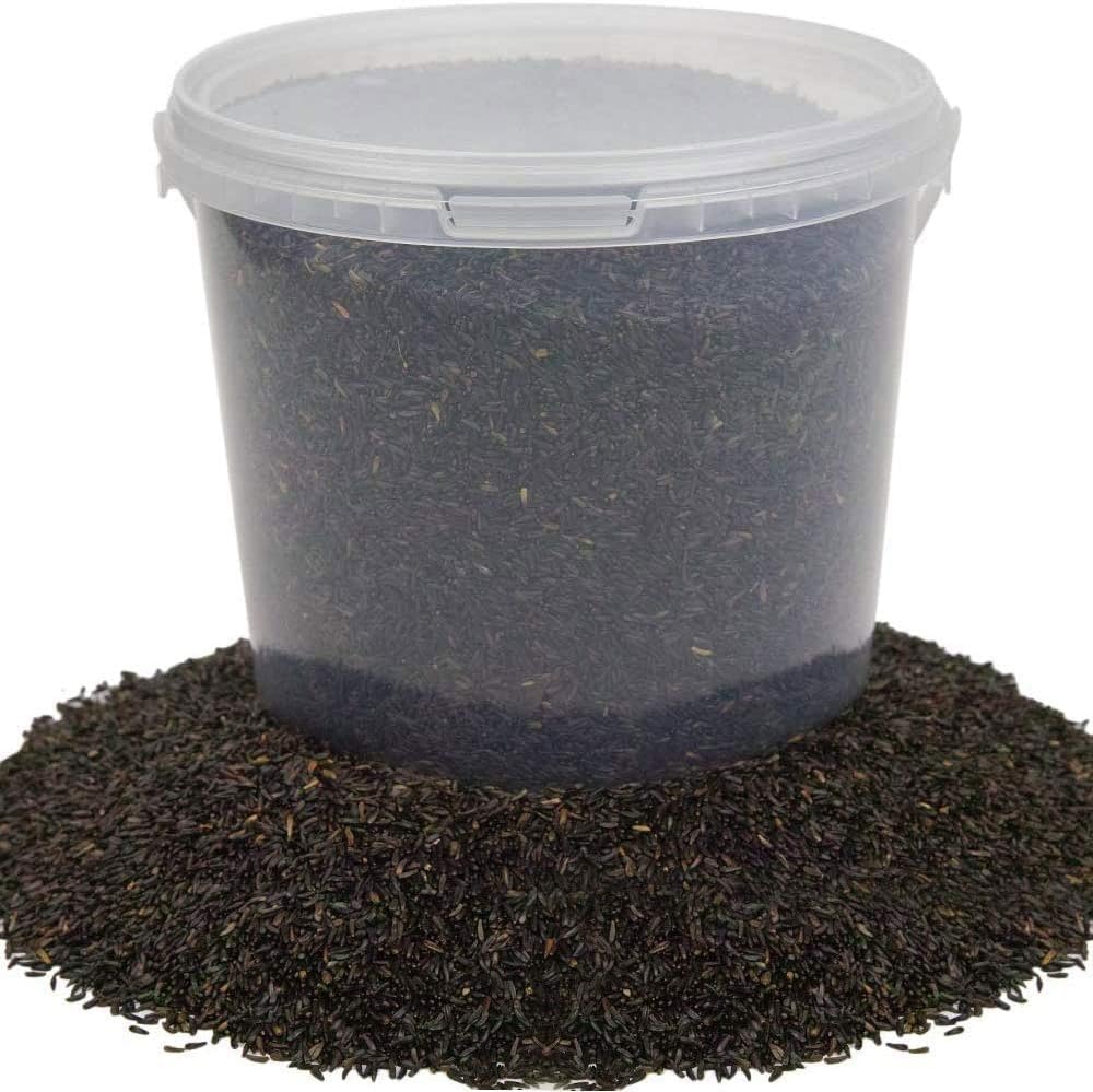 BusyBeaks Niger Seed | Premium Wild Bird Food | High Energy Nutritious Garden Feed Mix | Promotes Healthy and Strong Feathers | Great for Small Birds Like Finches Siskins Redpolls Sparrows (5L Tub)
