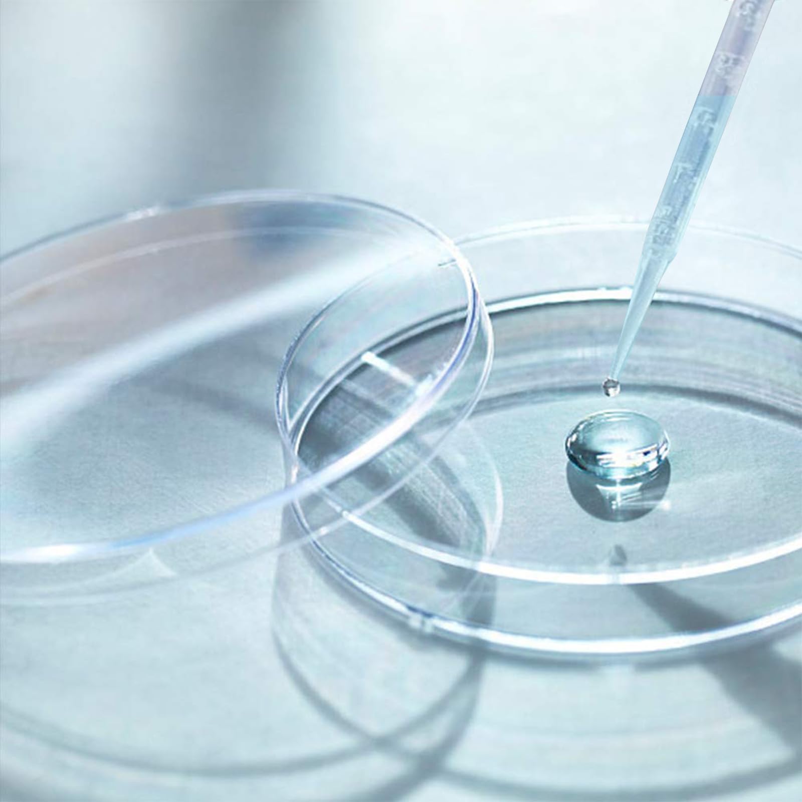 40 Pezzi Piastre Petri da 60 mm, Set di Piastre di Petri in Plastica Sterile con Coperchio, con 20 Pipette, per Coltivare Batteri, Corsi di Esperimento per Studenti e Ricerca Biologica