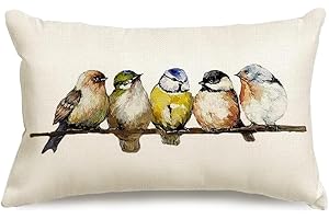RABUSOFA Watercolor Birds, Decorative Throw Pillows