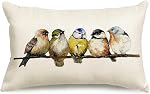 RABUSOFA Watercolor Birds Pillows Decorative Throw Pillows 12x20,Hand-Painted Oil Painting Rustic Birds Lumbar Pillow Cases,Cute Colorful Spring Decorations for Home Couch Sofa Outdoor