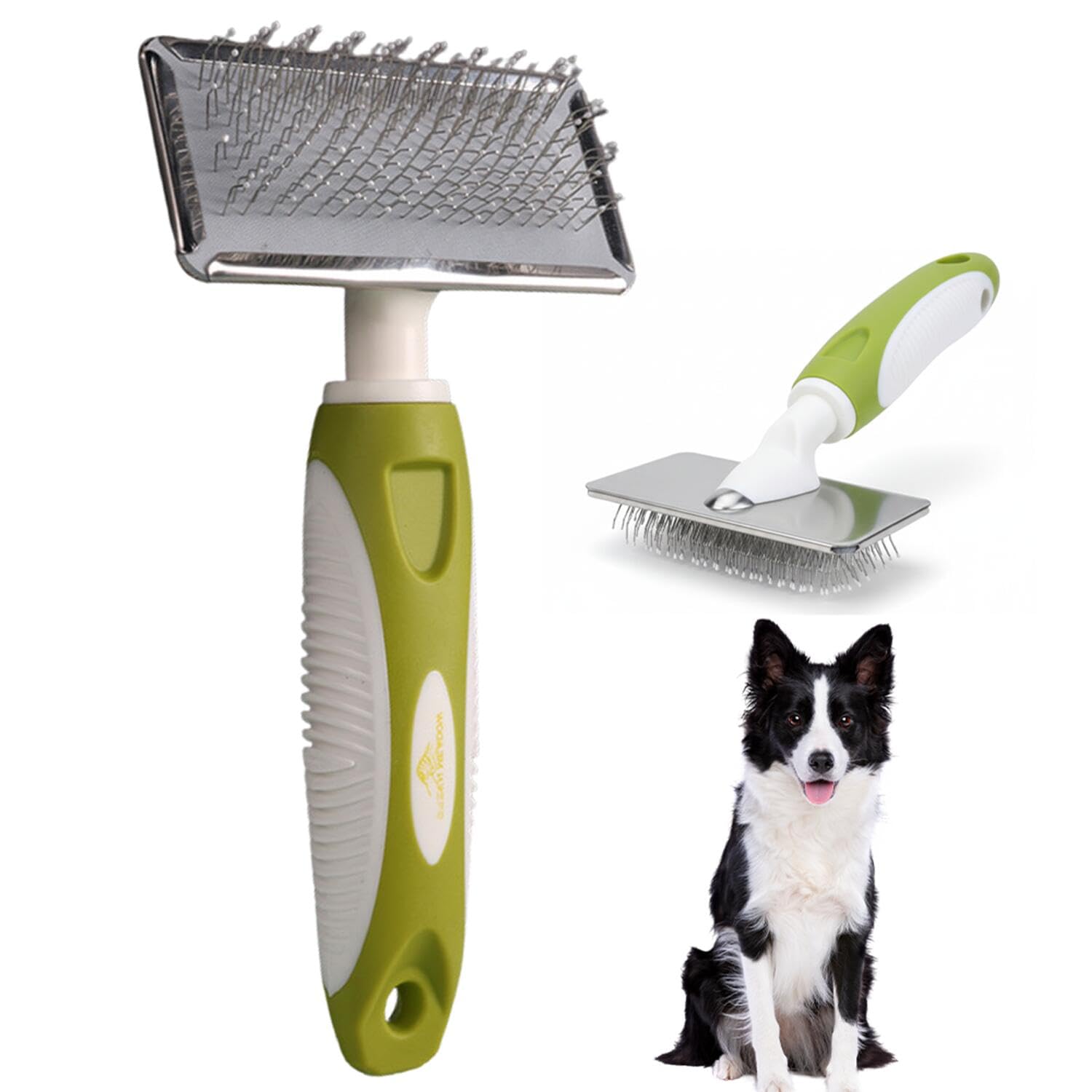 Amazon.co.jp: Lifetipsボーダー・コリー（Border Collie）デボン