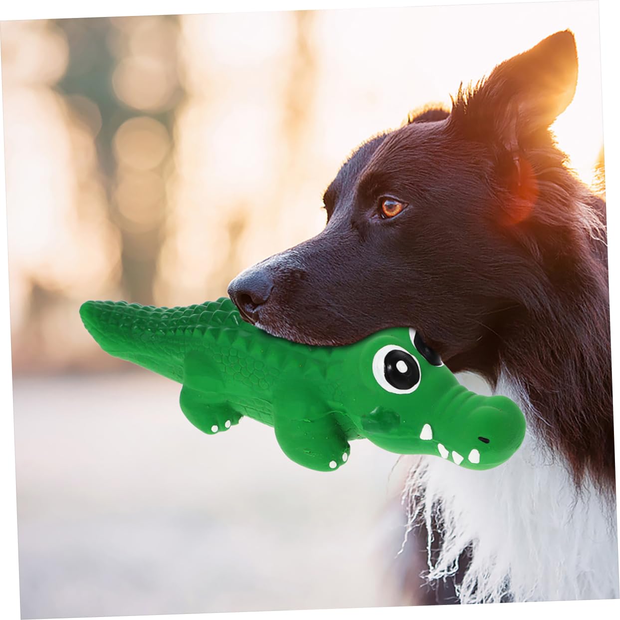 BESPORTBLE 10stücke Quietschendes Hundespielzeug Aus Interaktives Kauspielzeug Für Welpen Zur Zahnpflege Und Beschäftigung Farbenfrohes Design Für Spaß Und Gesundheit
