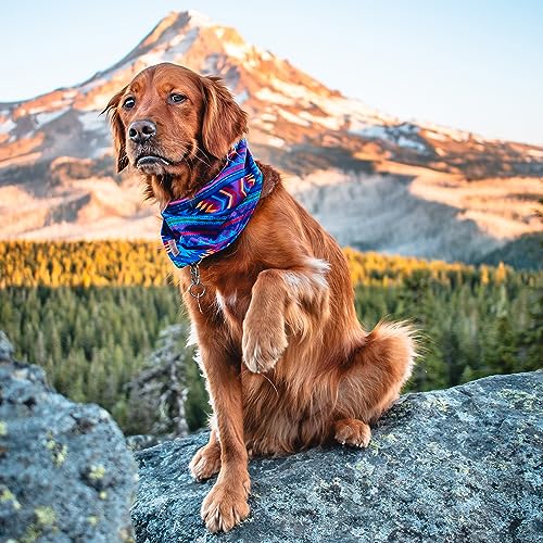 Image of Wilderdog Dog Bandana with Lightweight Quick Drying Poly-Blend Mesh Material in Big Sky