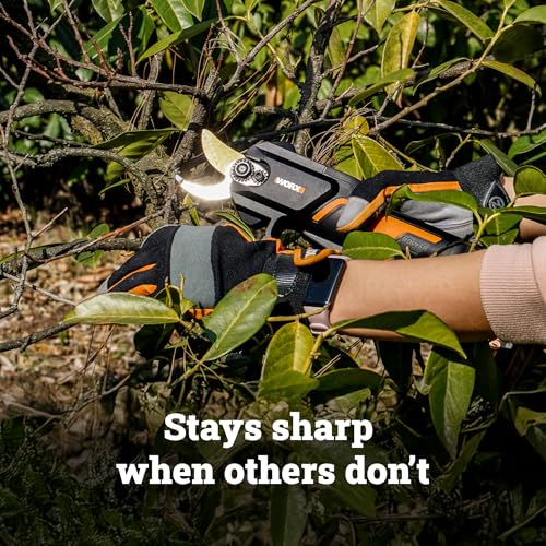 Image of WORX Cordless Pruning Shear, 20V Powered Lopper, WG330