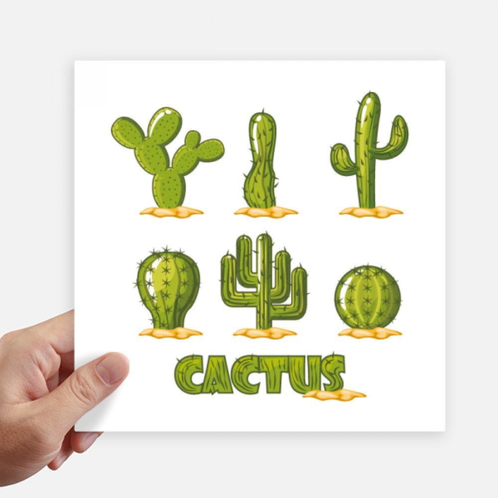 Pegatinas cuadradas de suculentas y cactus para pared y maleta de 20x20 cm 4 piezas