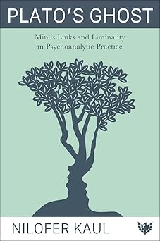 Plato's Ghost: Minus Links and Liminality in Psychoanalytic Practice-Wow! eBook