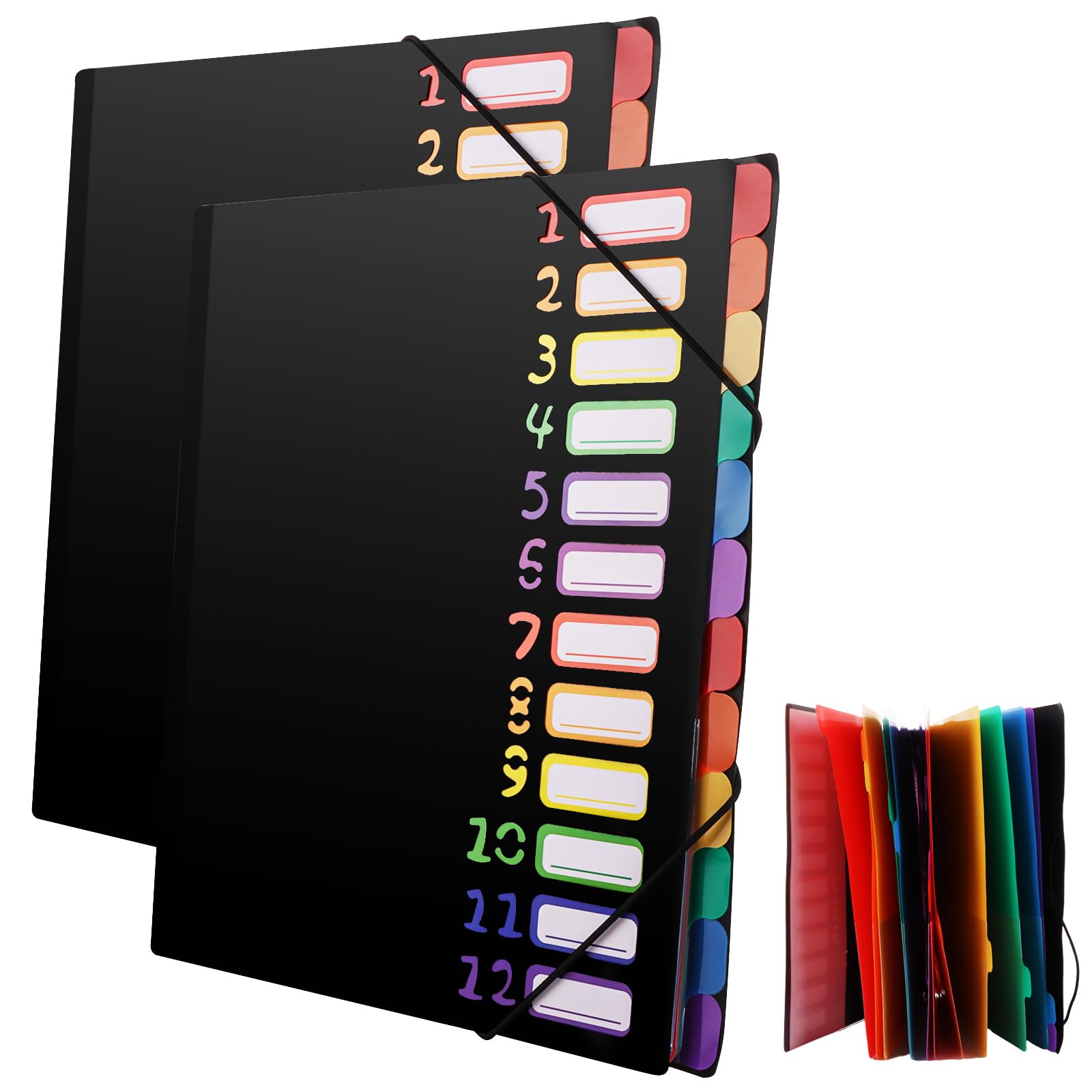 ASelected Pack of 2 A4 Document Folders, Waterproof Expanding Folder, A4, 12 Compartments with Index Window, for Office, School, Home