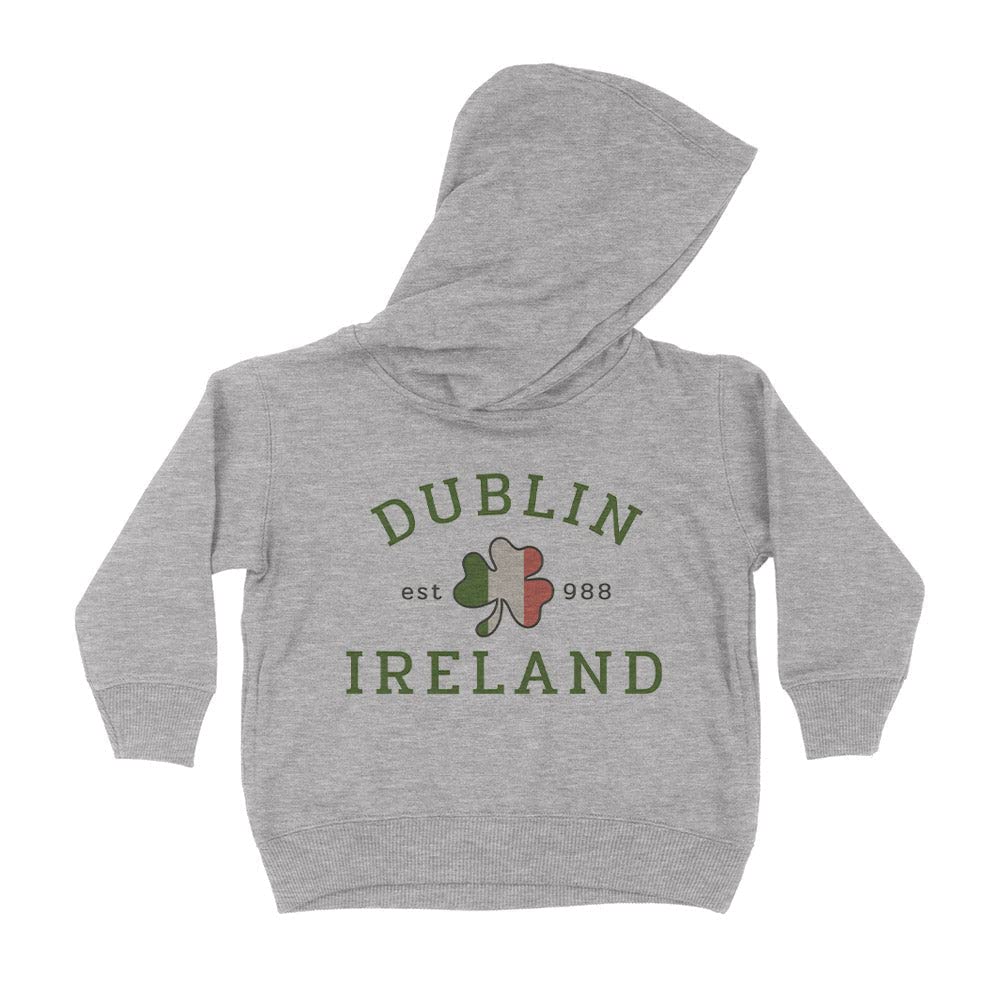 Dublin Ireland Kids Hoodie Sweatshirt Toddler 4T Heather Grey